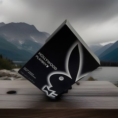 Playboy Hollywood Eau de Toilette Spray 3.4 FL OZ 100 ml Regular Size