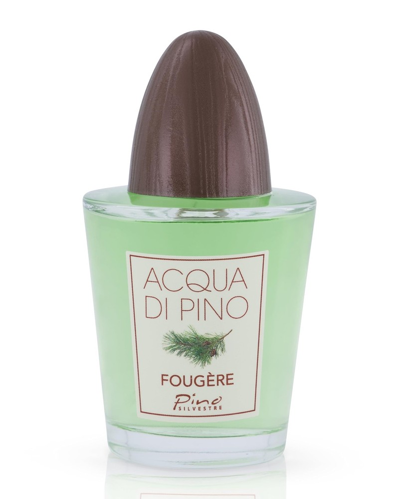 Acqua Di Pino Fougere By Pino Silvestre For Men – A Men’s Eau De Toilette
