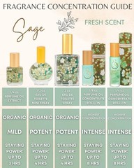 The Sage Lifestyle Roll On, Oil, Extract, 0.25 Fl Oz (Pack of 1)