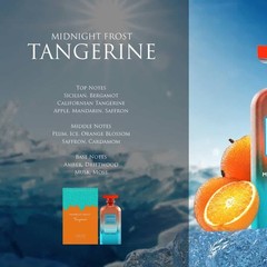Anfar Unisex Midnight Frost Tangerine Extrait de Parfum Spray 3.4 oz Fragrances