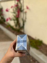 Valentino Born In Roma Extradose 3.4oz/100ml Parfum New Sealed