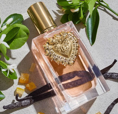 Devotion by Dolce & Gabbana 3.3 oz Perfume Eau de Parfum 100ml Women Spray New