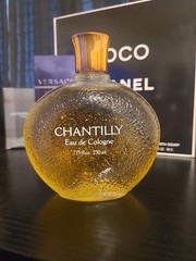 Vintage (Houbigant) Parfums Parquet Chantilly Eau De Cologne Perfume Splash 7.75