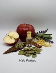MALE FANTASY–ATTAR PERFUME OIL-LONG LASTING-BOTTLE/CAP DESIGN VARIES-FREE SHIP