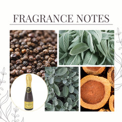 Bharara Champagne Black by Bharara Beauty 3.4 oz / 100 ml EDP Spray for Unisex