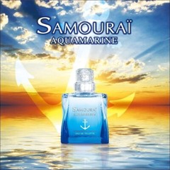 ALAIN DELON Samourai Aqua Marine EDT 50ml FOR MEN Fresh Cologne Spray NEW