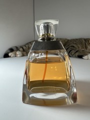 Vera Wang Sheer Veil 100ml Eau De Parfum 3.4oz Rare Discontinued Custom Design