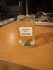 Spanish Veil – Edward Bess
