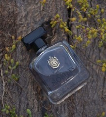 Gallantry Perfume – NOBILES Frag – perfumes fragrance New Exclusive Best seller