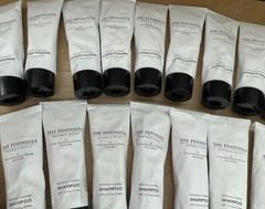 29 Pc THE PENINSULA BEVERLY HILLS Alia Raza Assorted Travel Size Toiletry Set