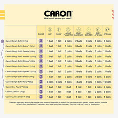 Caron One Pound off White Yarn – 2 Pack of 454G/16Oz – Acrylic – 4 Medium (Worst
