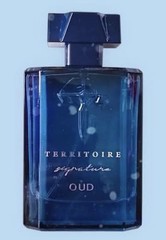 Territoire Signature Oud Eau De Parfum Fresh Masculine Woody For Men 100 ML
