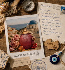 Coach Wild Rose Eau de Parfum Spray 3 fl oz Regular Size Red Currant Ambroxan