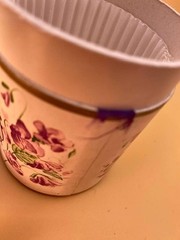 Violettes de Toulouse 83° Berdoues France N. 60 France 40 ml 1 1/2 oz Bottle