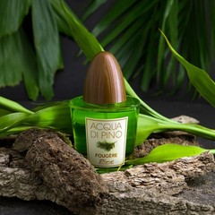 Acqua Di Pino Fougere By Pino Silvestre For Men – A Men’s Eau De Toilette