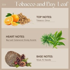 Tobacco & Bay Leaf Fragrance Oil 3.38oz – Scented Oil for Candles, Soap, Diffuse