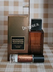 LQQK! Bath & Body Works 1.7 FL OZ – 3.4 FL OZ Parfum w/Mini ***YOUR CHOICE***