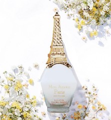 MON AMOUR PARIS POUR FEMME EAU DE PARFUM SPRAY FOR WOMEN 3.4 Oz 100 ML