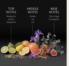 Ahuja Amber Sage Parfum Spray Bergamot Lemon Grapefruit Amber Fig 3.4 fl oz