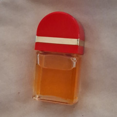 Elizabeth Arden Red Door Floral Perfume Sample 0.17 fl oz