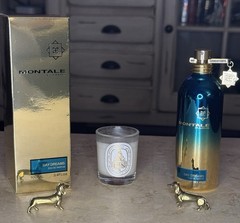 MONTALE-Day Dreams EDP- AUTHENTIC/FULL-3.4 fl oz/100 mL