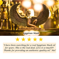 Egyptian Musk Pure Thick Uncut Body Oil. Wholesale, Alcohol Free, Unisex