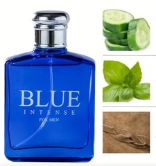 Men’s Blue Eau De Toillete Cologne Spray 3.4oz Fresh Masculine
