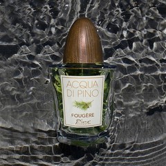 Acqua Di Pino Fougere By Pino Silvestre For Men – A Men’s Eau De Toilette