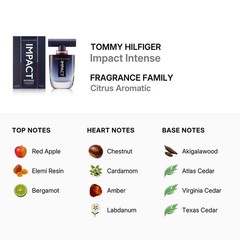 Tommy Hilfiger Men’s Impact Intense 2pcs EDP Gift Set Fragrances 7640496670191