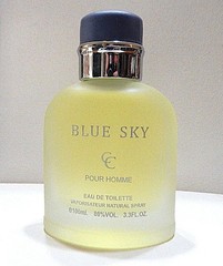 BLUE SKY POUR HOMME EDT Spray 100ml ~ NWOB Inspired by Light Blue