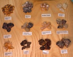 Resin Mix Sampler Pack – 1oz Bags – 12 Pack Sets