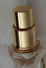 VTG Victoria Secret Enchanted Apple Cologne spray Garden collection 0.67 oz 9″