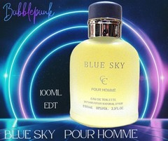 BLUE SKY POUR HOMME EDT Spray 100ml ~ NWOB Inspired by Light Blue