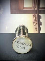 Ensar Oud – Crassna Cha 2011 3gr
