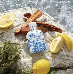Dolce & Gabbana Light Blue Summer Vibes EDT Spray 4.2 fl oz in a Tester box