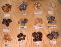 Resin Mix Sampler Pack – 1oz Bags – 12 Pack Sets