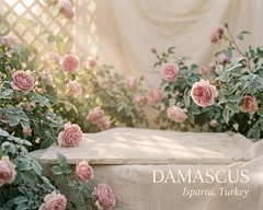 DAMASCUS Rose Attar Oil 20ml Natural Floral Perfume Alcohol Free Clean Musk