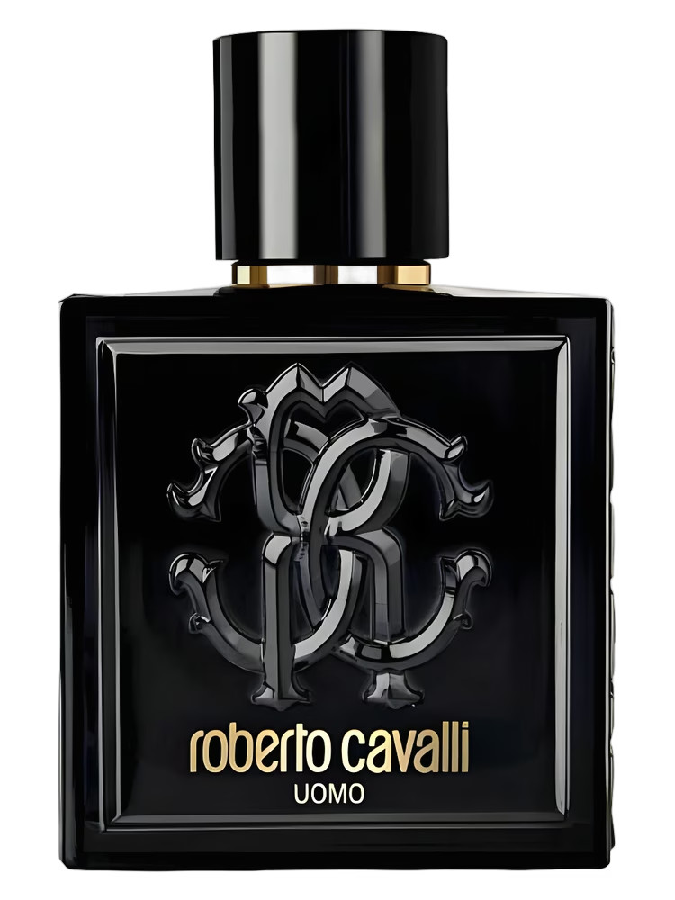 ROBERTO CAVALLI UOMO-EDT-SPRAY-3.4 OZ-100 ML-AUTHENTIC-MADE IN ITALY
