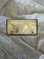 OSCAR “ACTIVEE” by OSCAR DE LA RENTA 3.5 oz / 100 g Body Powder In Sealed Box