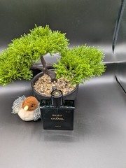 CHANEL Bleu De Chanel Parfum Men’s Perfume Overstock Fast Shipping