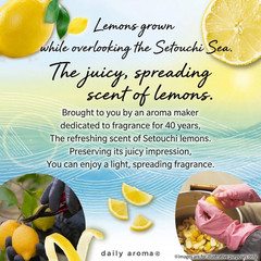 3-pack Daily Aroma Japan Setouchi Lemon Roll-On Aroma 7 mL Citrus Fragrance Oil