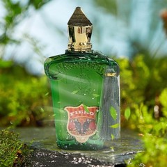 Casamorati 1888 Fiero By Xerjoff Fragrance For Male EDP 3.3 / 3.4 Oz Refreshing