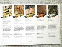 GOLDFIELD & BANKS DESERT ROSEWOOD MOSS SUNSET+ 2 ML CARDED SAMPLE PLEASE CHOOSE