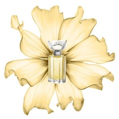Esprit d?Oscar by Oscar de la Renta 3.4 oz / 100 ml EDP Spray for Women – New