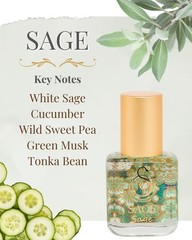 The Sage Lifestyle Roll On, Oil, Extract, 0.25 Fl Oz (Pack of 1)