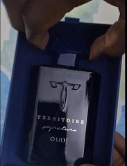 Territoire Signature Oud Eau De Parfum Fresh Masculine Woody For Men 100 ML