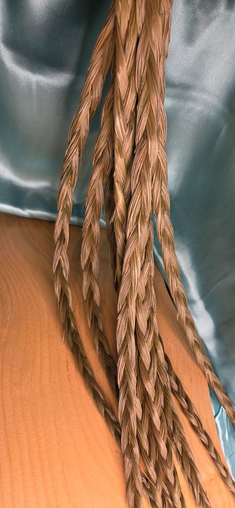 Sweetgrass Braids ~ Hierochloe Odorata ~ United States