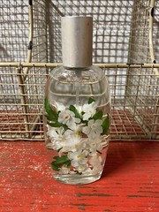 Collector’s Item!! Very Rare Bath Body Works •Relax• Fragrant Spray – Vintage