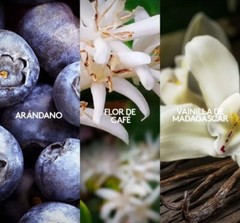 VIBRANZA (SWEET) VIBRANZA ADICTION (FLORAL) BY ESIKA PERFUMES SELLADOS.