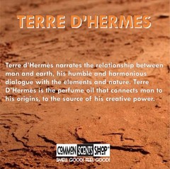Terre D’Hermes Perfume Body Oil [Unisex Fragrance Attar] – Common Scents Shop